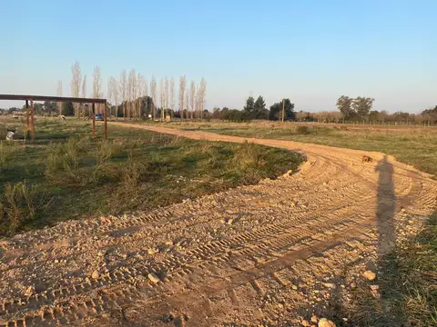 Benquerencia Barrio De Chacras