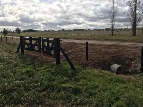 Benquerencia Barrio De Chacras