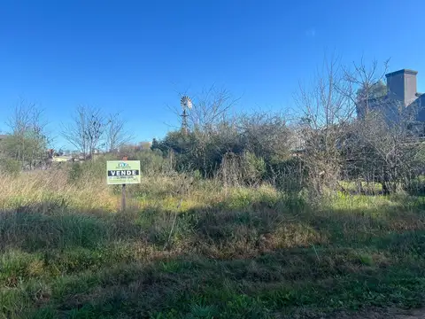 Dorrego