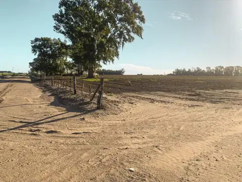 Campo de 855 hectáreas con muy buen potencial agrícola