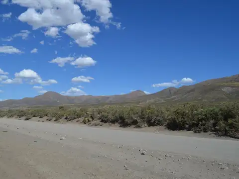 11250 ha - Ganaderas - Colipilli - Neuquen