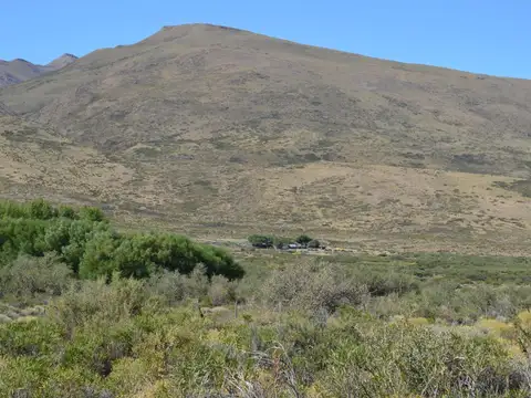 11250 ha - Ganaderas - Colipilli - Neuquen