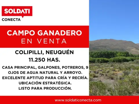 Campo de 11250 ha en Venta - Colipilli - Neuquen