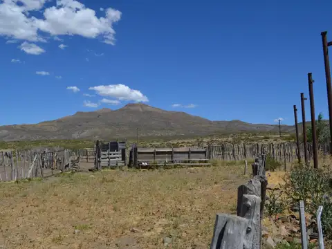 Campo de 11250 ha en Venta - Colipilli - Neuquen
