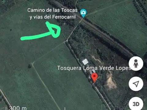 Venta campo 7.917  m2 en Las Toscas Loma Verde