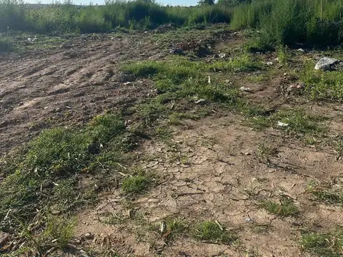 Venta campo 7.917  m2 en Las Toscas Loma Verde