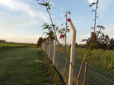 Terreno en Venta en Alvear, USD 14.400