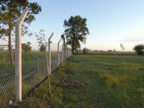 Terreno en Venta 40  mts Fondo