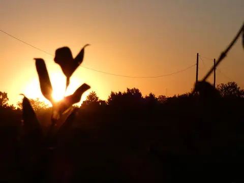 Condominio de Alvear 100