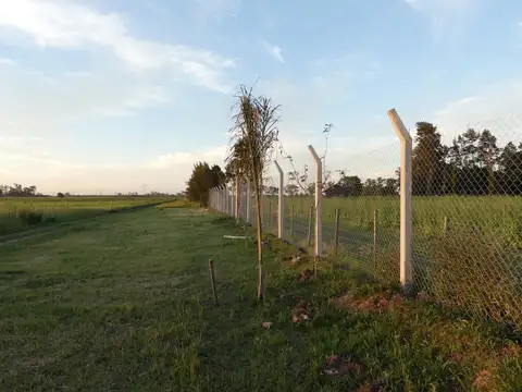 Terreno en Venta 12  mts Frente