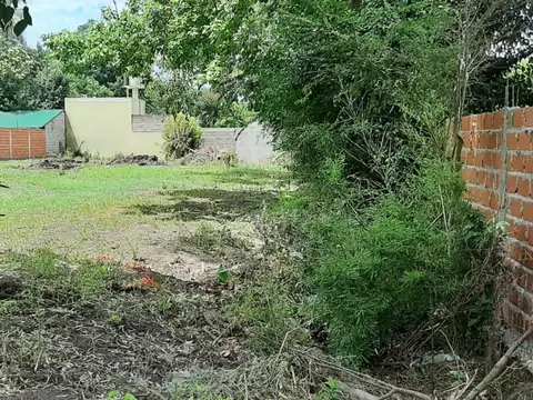 Lisandro De La Torre 5400