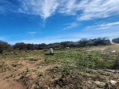 Terreno en Venta 29  mts Fondo