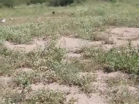 Terreno en Venta 198  mts Fondo