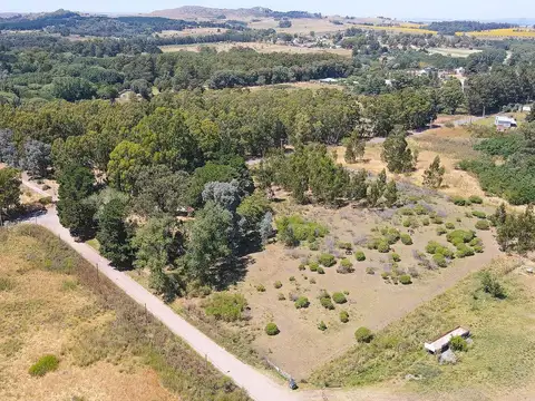 Terreno en Venta de 1955,0 m2