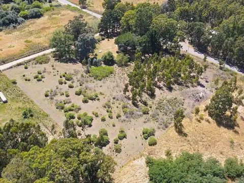 Terreno en Venta de 1955,0 m2