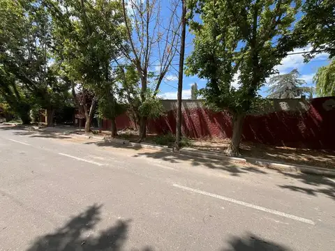 Longone 2300