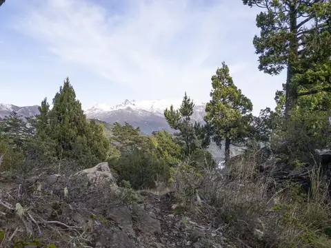 Sobrepuesto