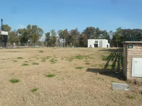 Alejandro Korn  al 3100