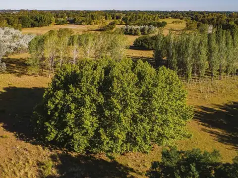 Terreno en Venta en Manuel Alberti, USD 155.000