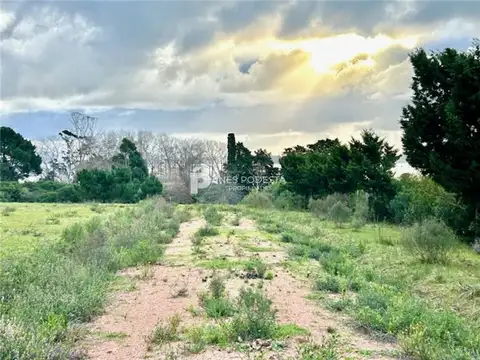 PROPIEDADES RURALES - CHACRA - PUNTA BALLENA