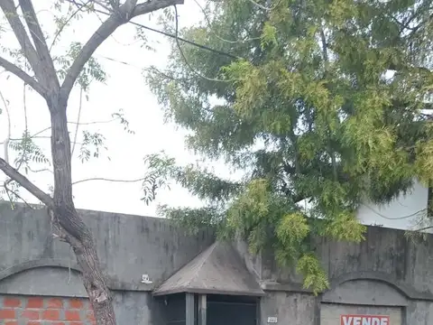 Hipólito Irigoyen al 1800