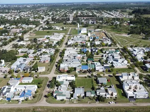Calle 209
