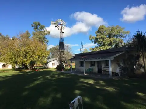 Campo en Venta Granja