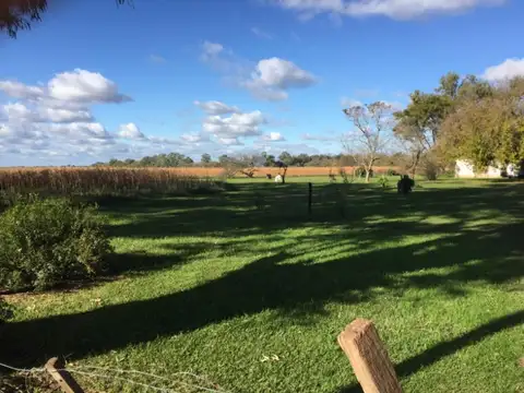 Rural 2000