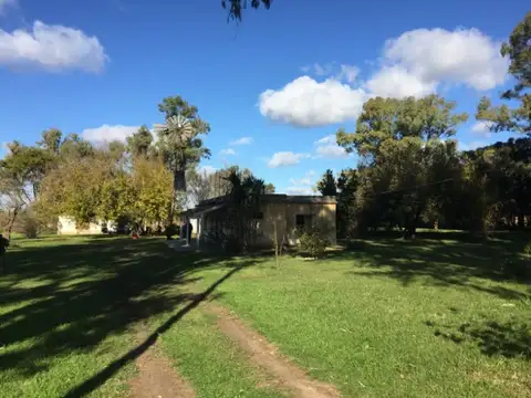 Campo en Venta Granja
