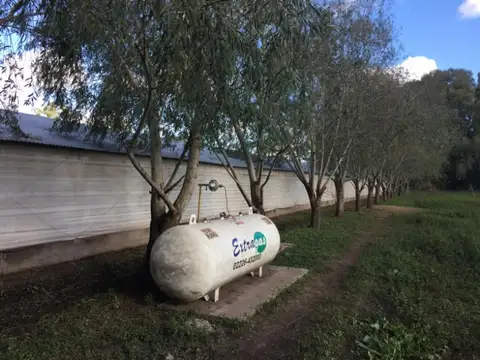 Campo en Venta de 6  ha