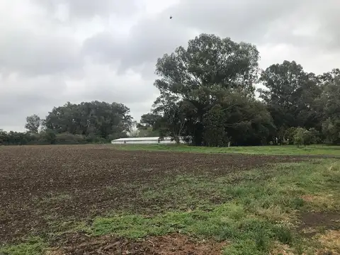 Campo en Venta de 6  ha