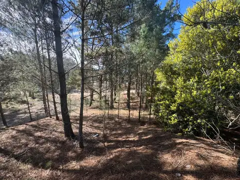 Terreno en Venta de 980,0 m2