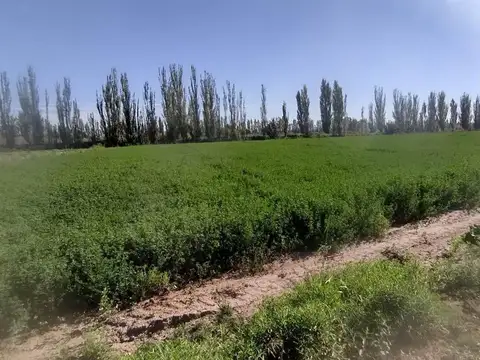 San Esteban S/N 100