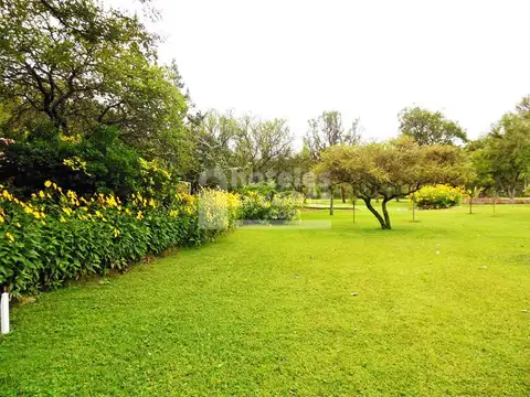 Bialet Masse, AR-CB1-1 100