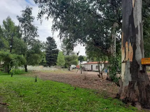 Avenida Rosales 700