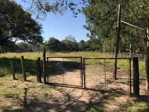 PARCELAS DE 1 A 2 HECTAREAS SOBRE RUTA-Ruta 11 km 1023