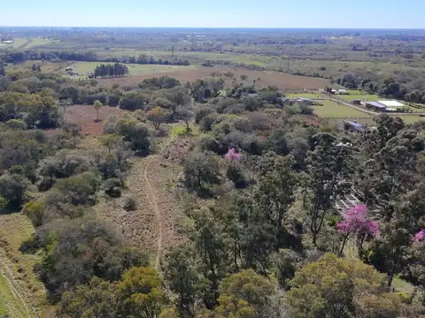 9,5 Hectareas Sobre Ruta 11 Margarita BelÉn