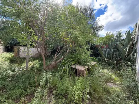 Local en Venta 66 años