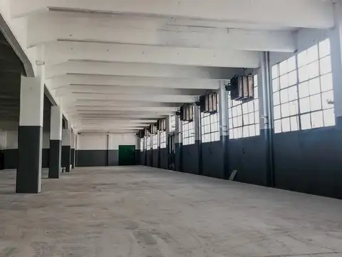 Martin Rodriguez  al 100