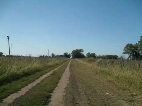 20 Hectáreas en Venta en Lezama