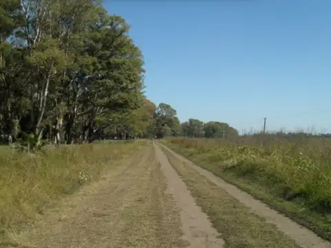 20 Hectáreas en Venta en Lezama