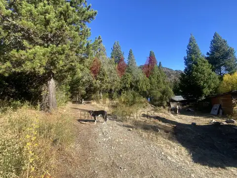 Ruta Nacional N° 40 1900