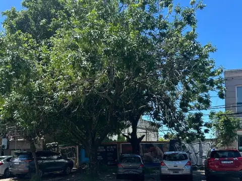 Terreno en Alquiler de 1111,0 m2