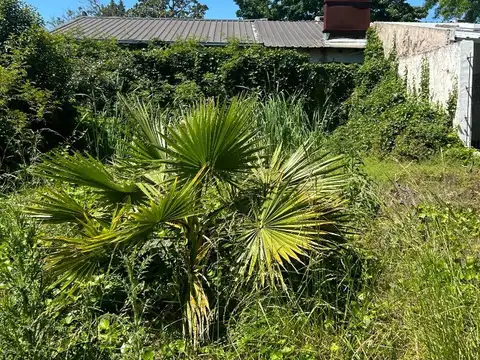 Blanco Encalada 100