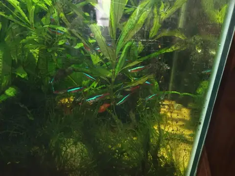 Casa en Venta en Quilmes Oeste, USD 125.000