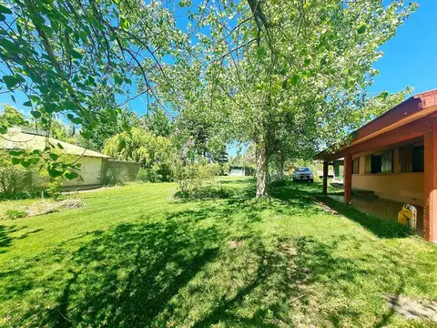 EL CRISTO & LOS JILGUEROS 100