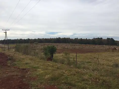 Ruta 213, casi 10 km de circunvalación Posadas