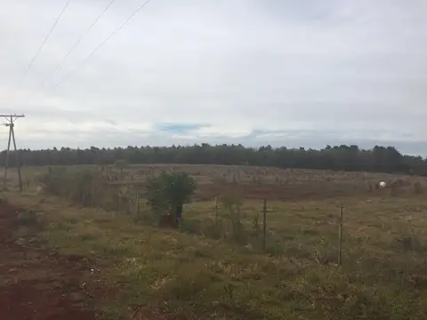 Terreno en Venta de 55000,0 m2