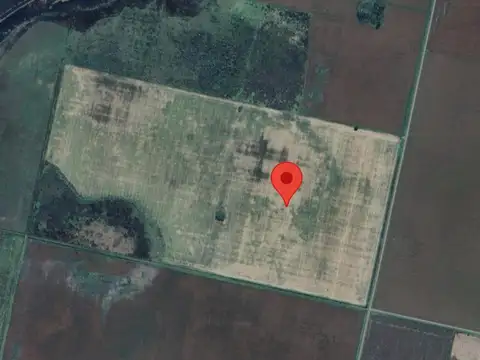 Campo en Corral de Bustos-Cordoba