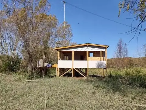 Delta 100